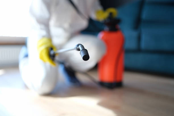 New Stanton, PA Mold Removal Pros